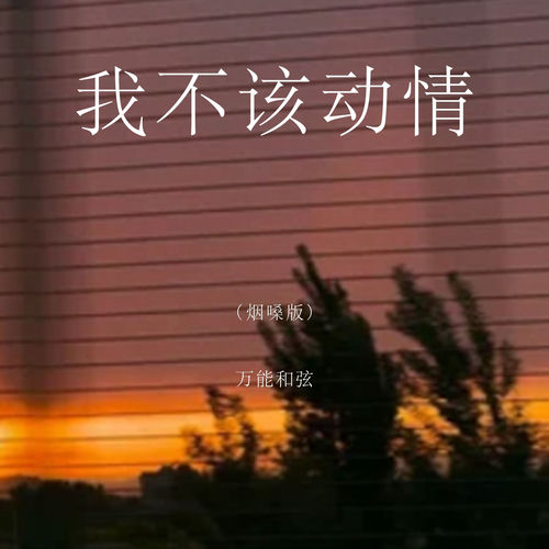 我不该动情 (烟嗓版)