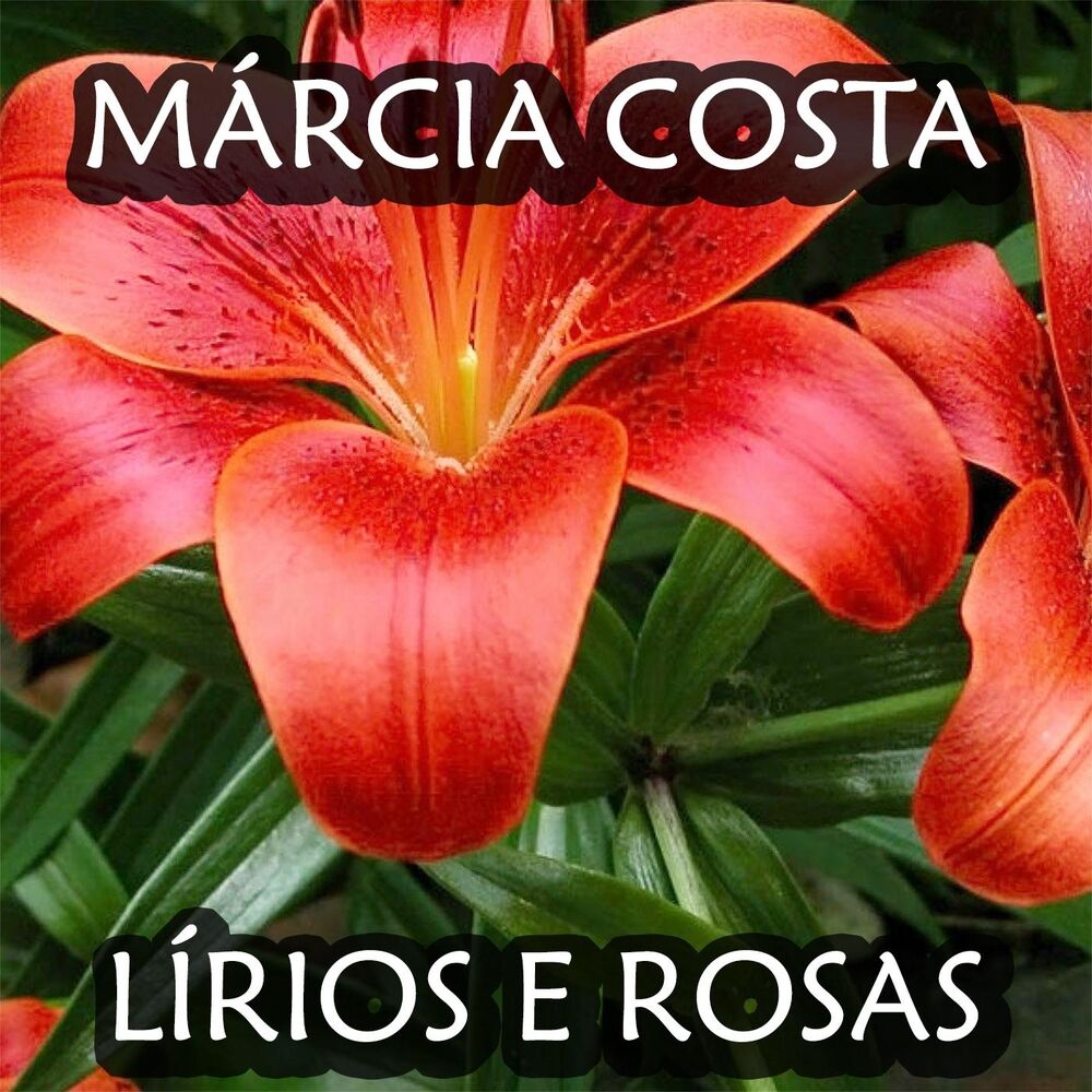 Picture of Lírios e Rosas