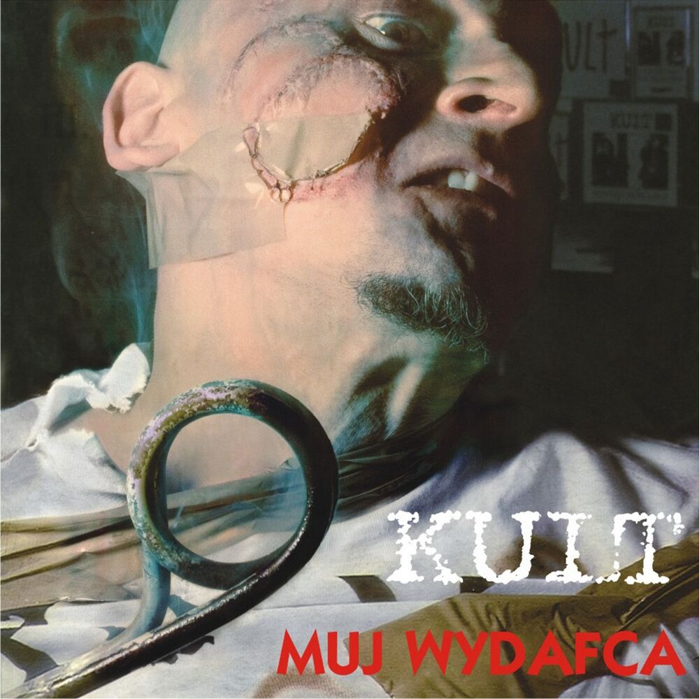 Picture of Muj wydafca