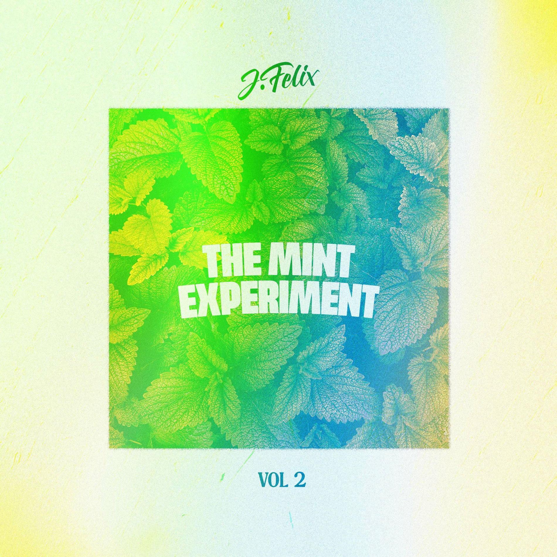 Album cover of THE MiNT EXPERiMENT Volume 2