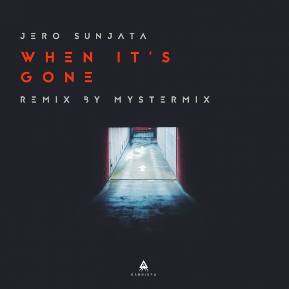 Picture of When It's Gone (Remix by Mystermix)