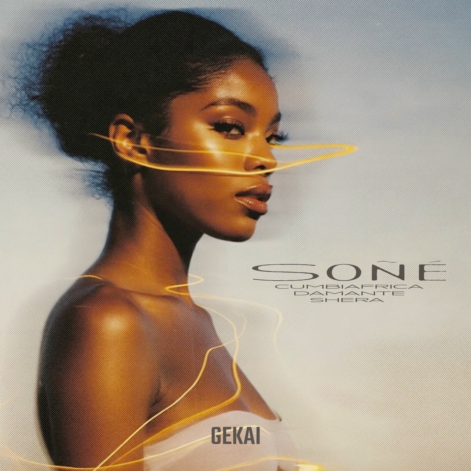 Album cover of Soñé