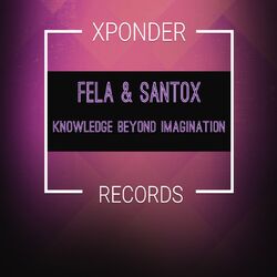 Cover of Knowledge Beyond Imagination