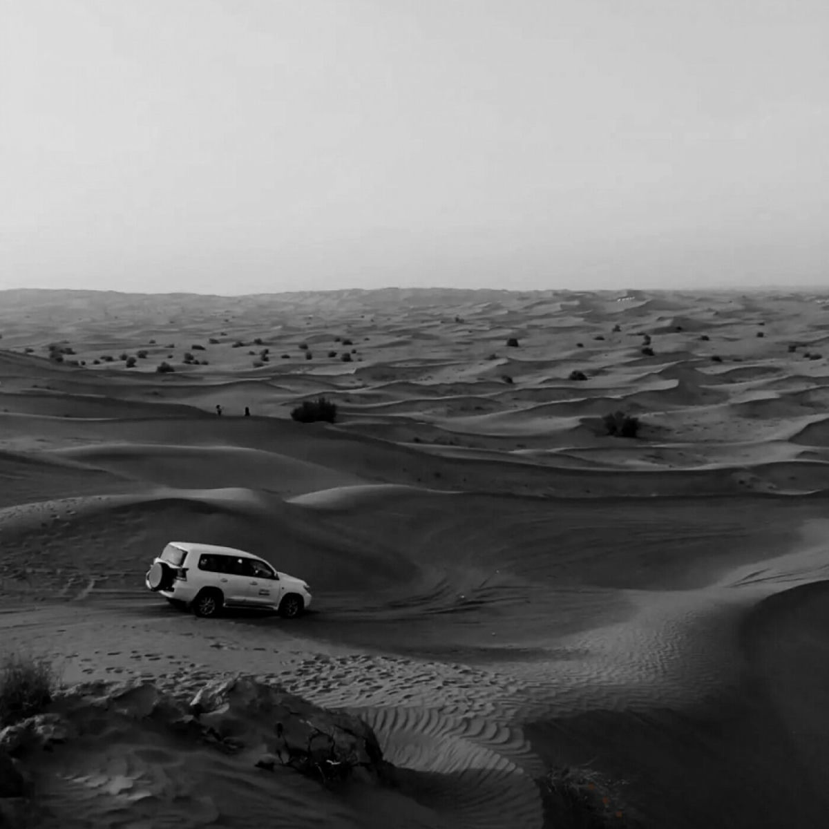 Album cover of Arabi