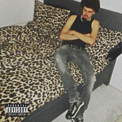 Cover of fuck wat je hoort