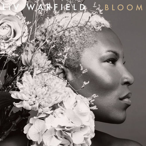 Bloom (Single Version) artwork
