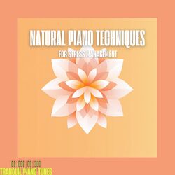 Cover of Natural Piano Techniques for Stress Management