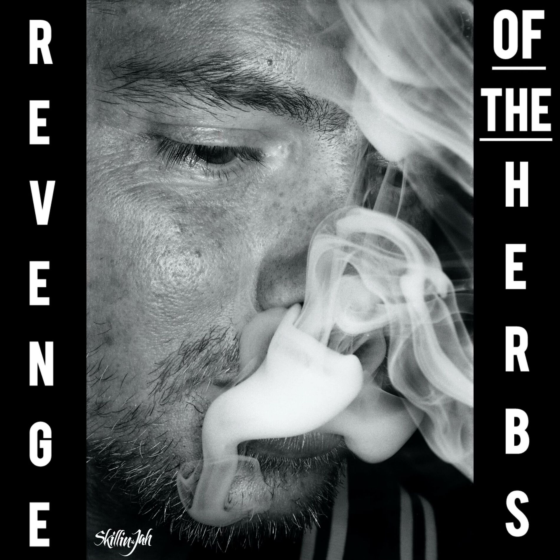 Album cover of Revenge Of The Herbs
