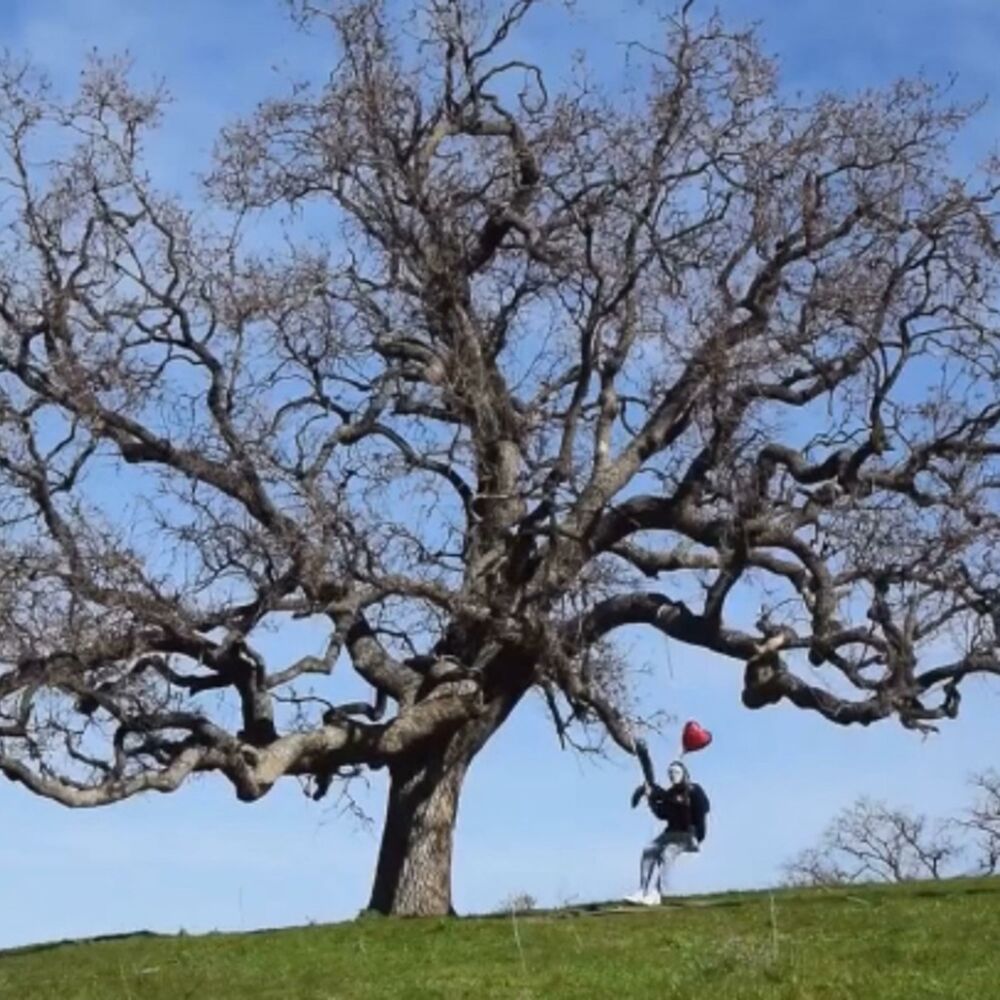 Picture of Escape Daydreams