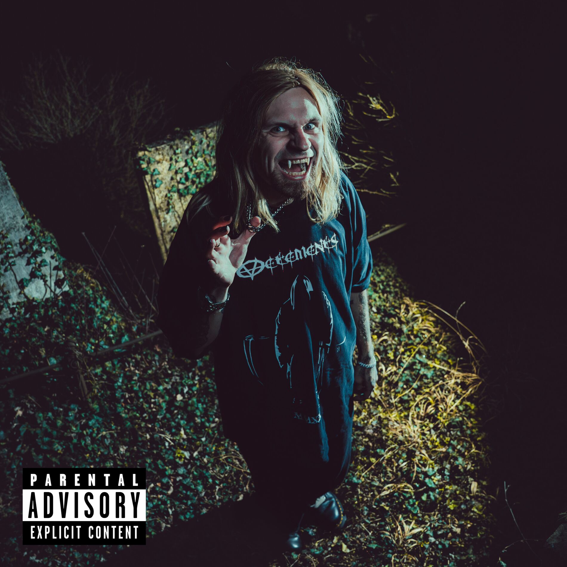 Album cover of VAMPIRE OUT THE CRYPT