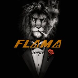 Cover of Flama