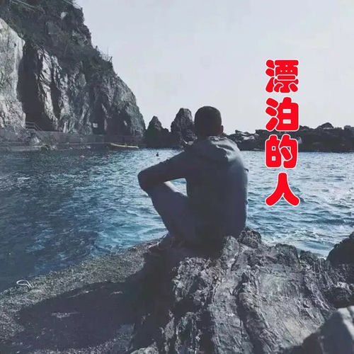 漂泊的人 (DJ版)