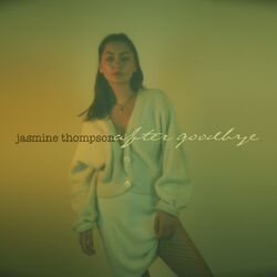 Cover of after goodbye