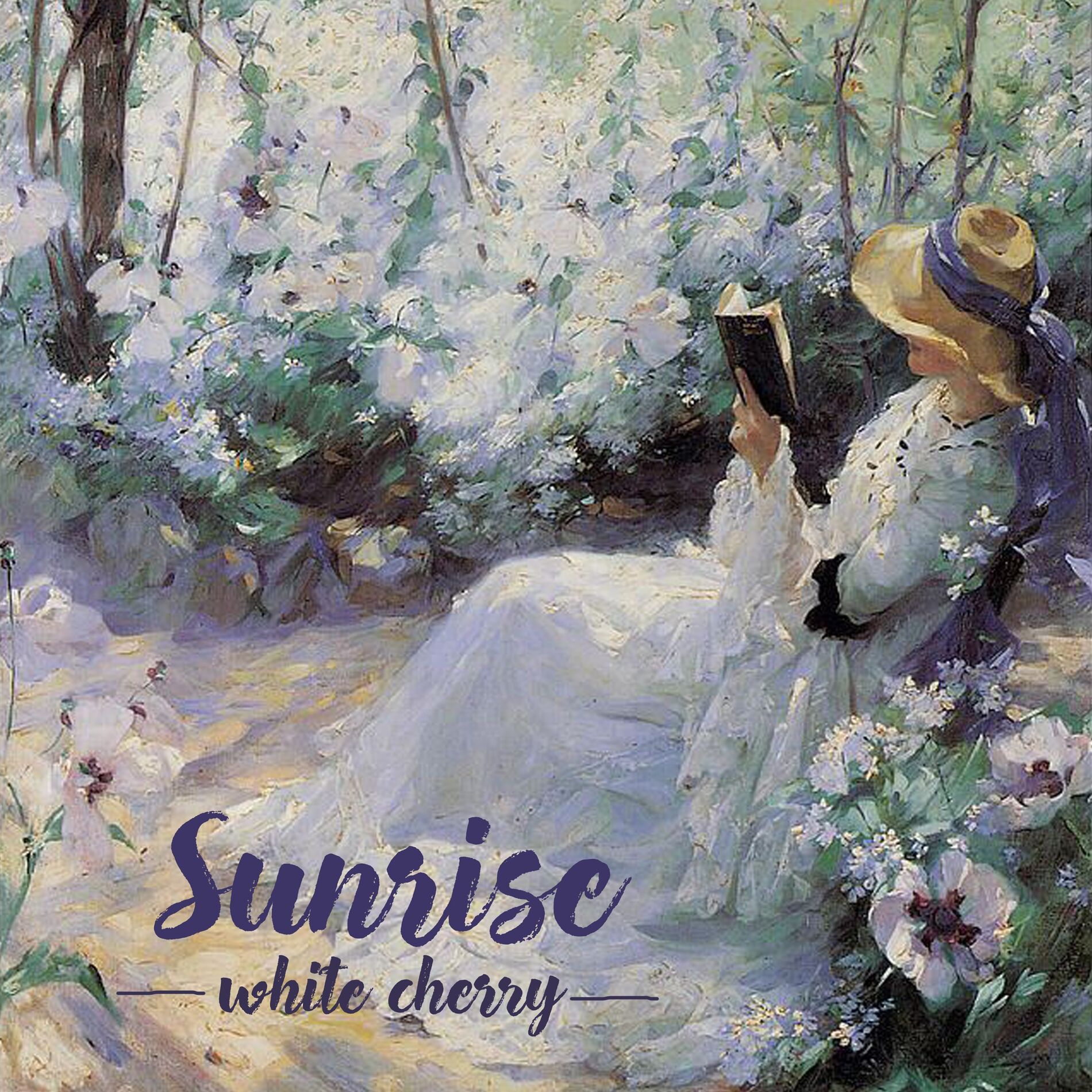 Album cover of Sunrise