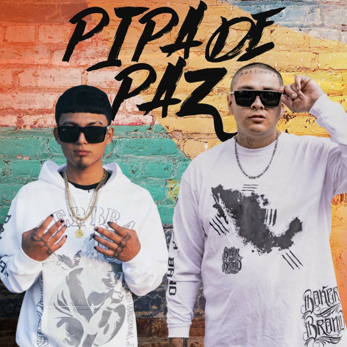 Album cover of Pipa de Paz