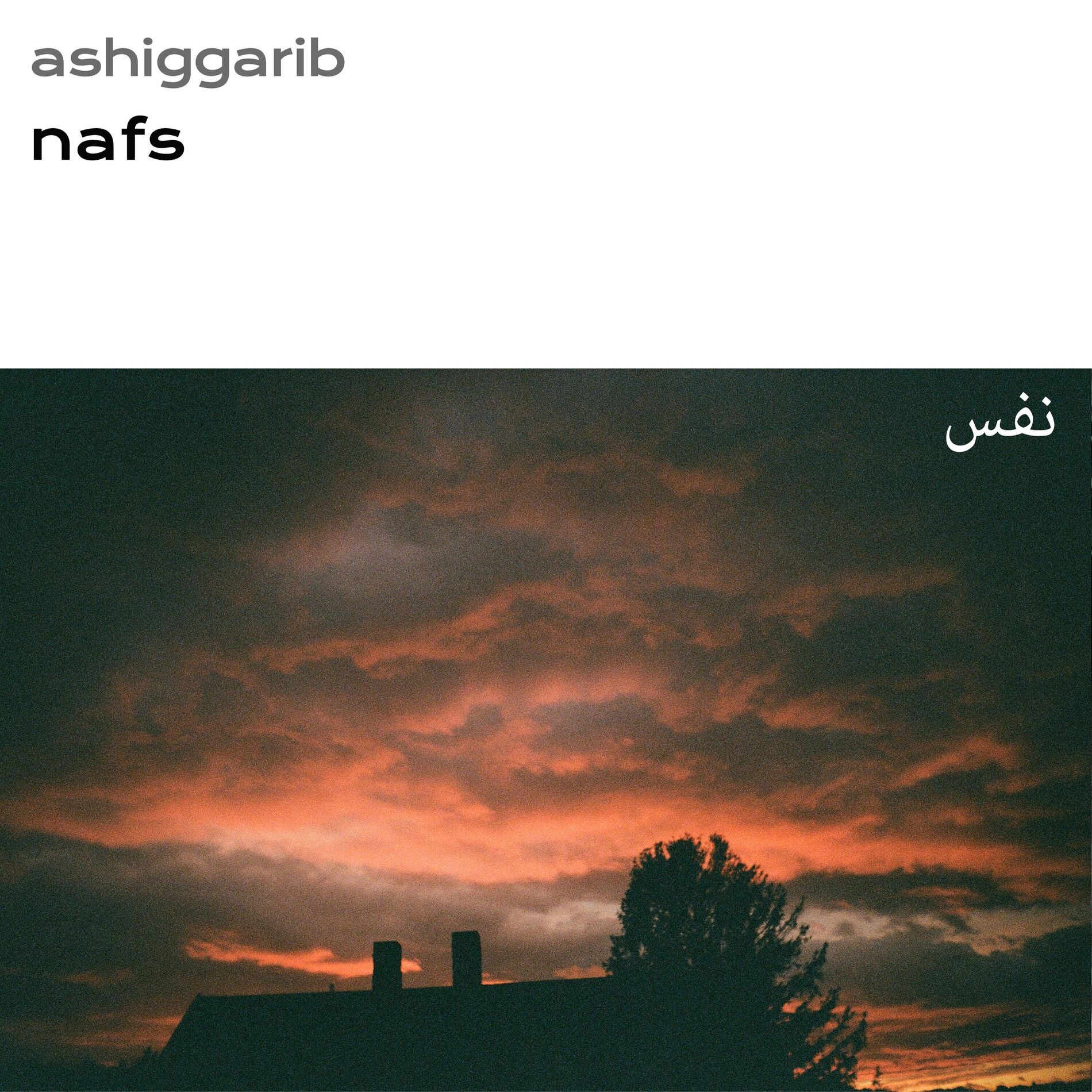 Album cover of Nafs