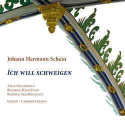 Cover of Schein: Ich will schweigen