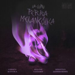 Cover of Perra Melancólica