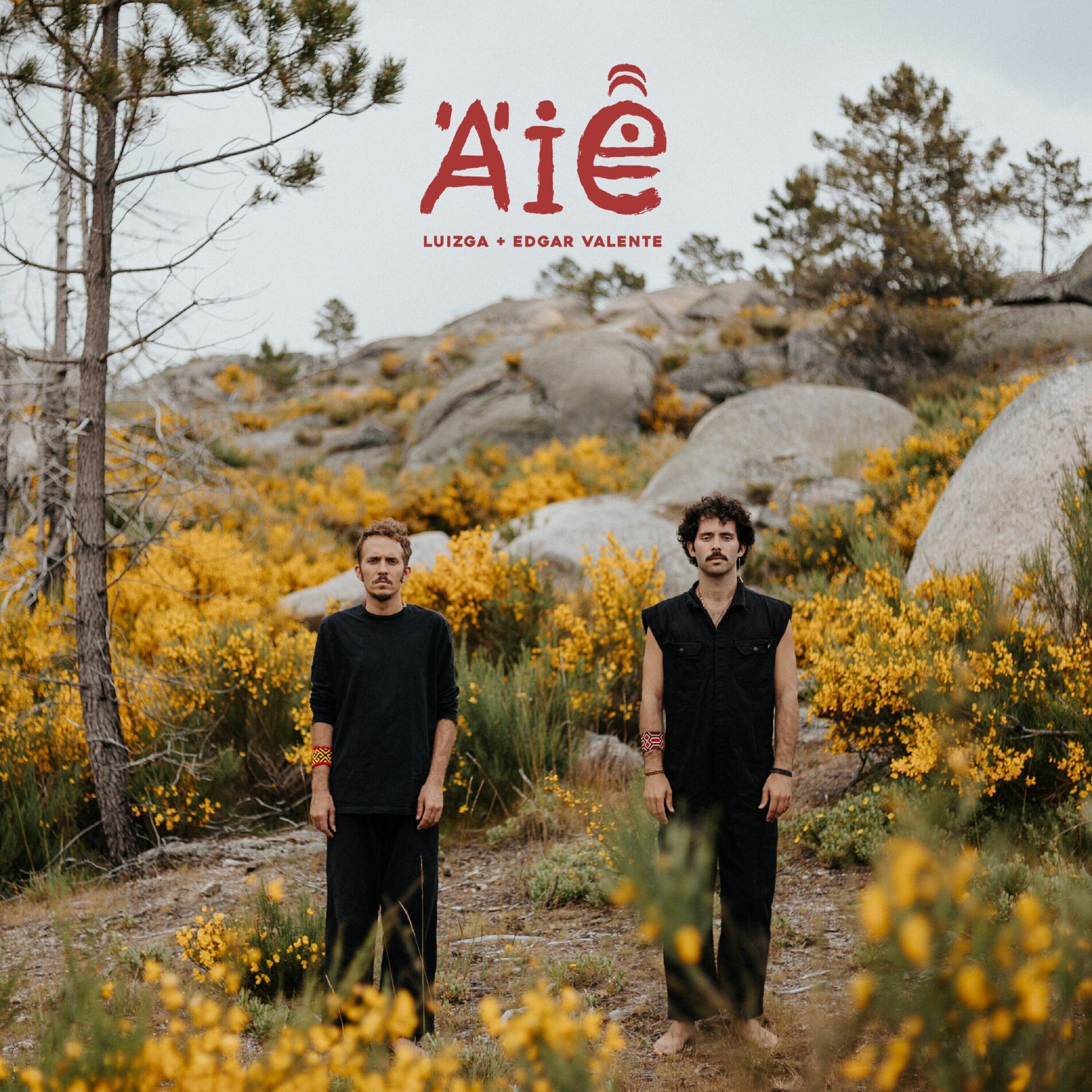Album cover of AIÊ