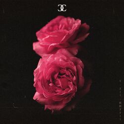 Cover of CC