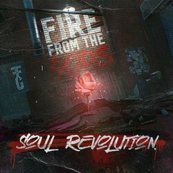 Cover of Soul Revolution