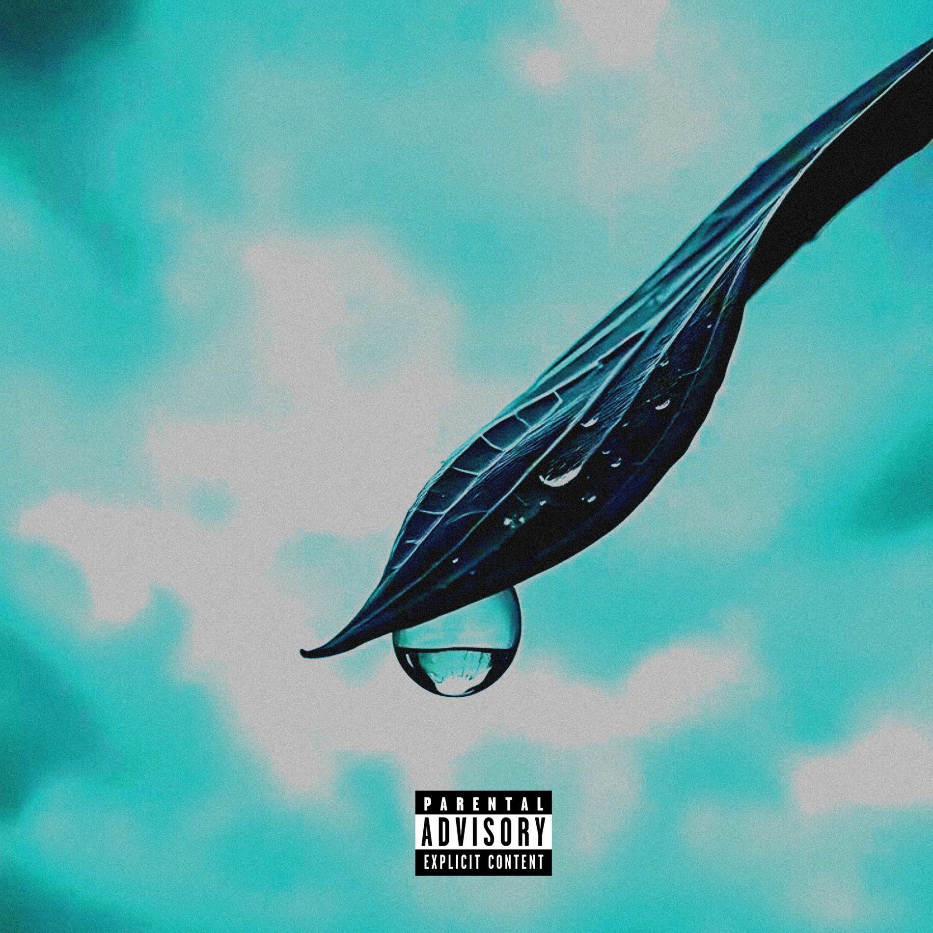 Album cover of Just Like You