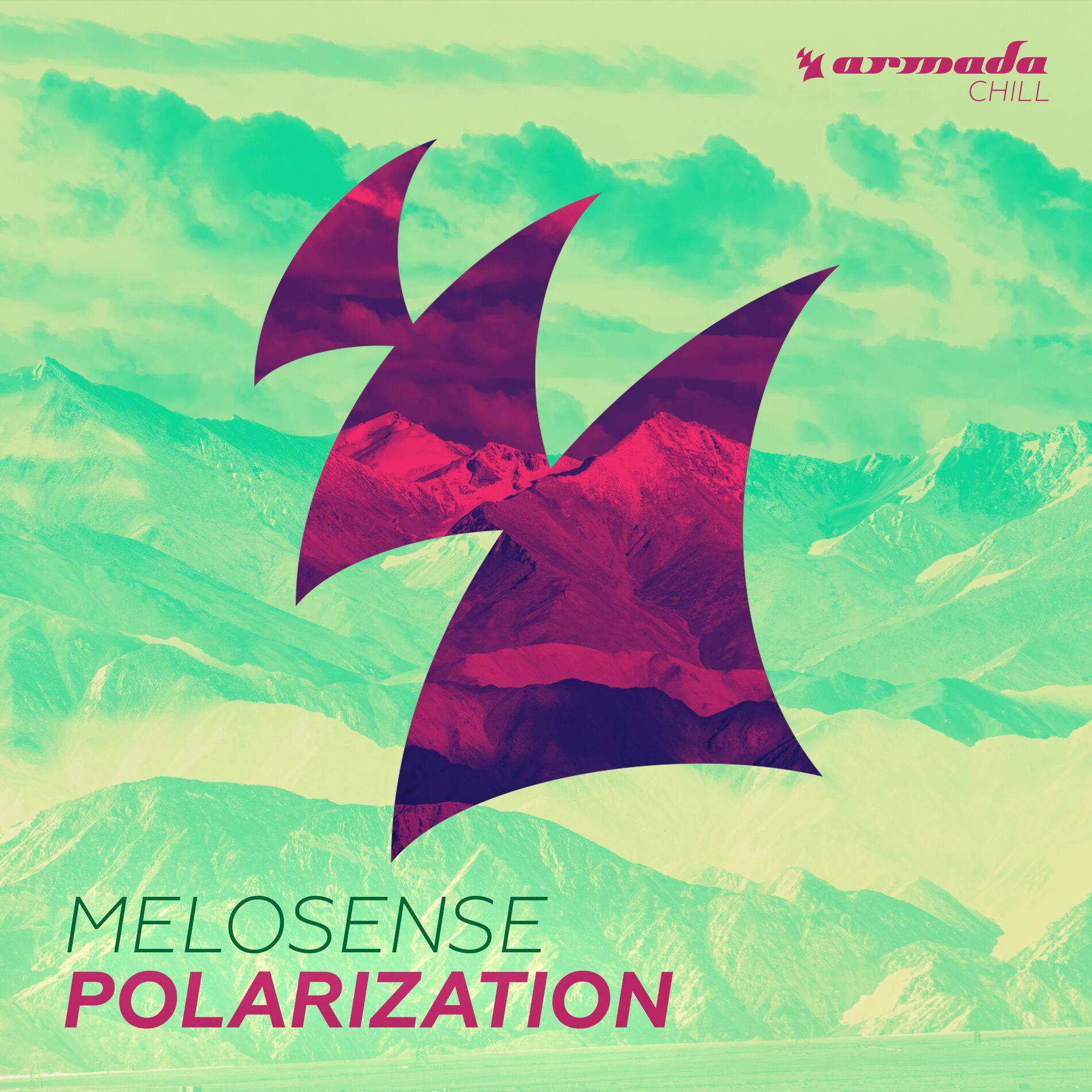 Album cover of Polarization