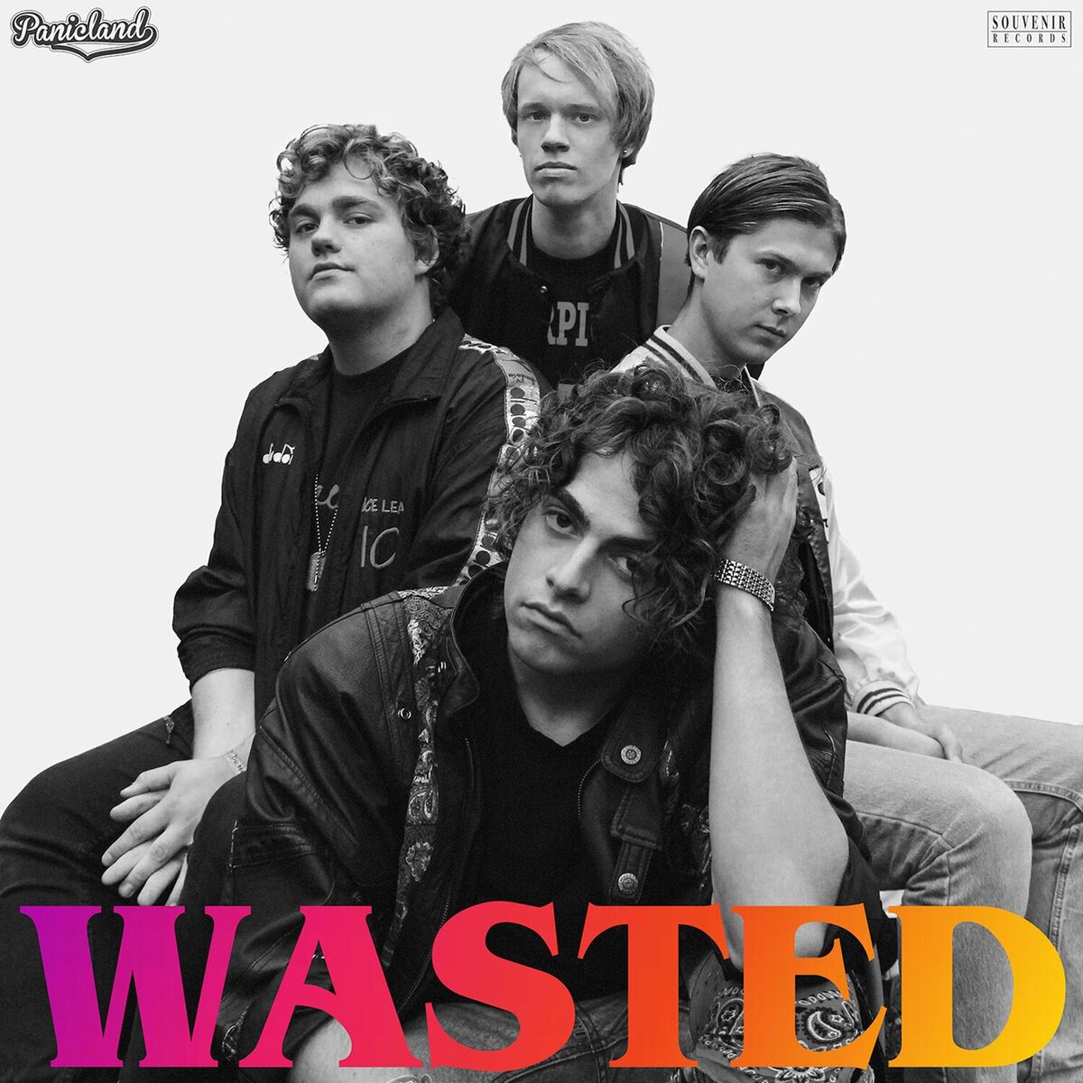 Album cover of Wasted