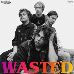 Cover of Wasted