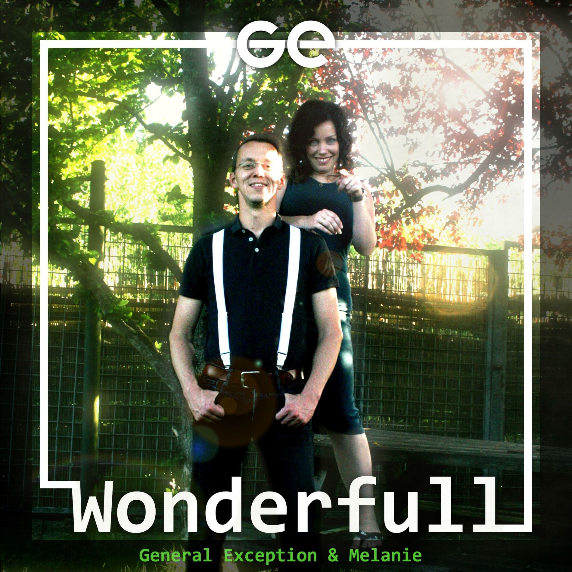 Album cover of Wonderfull (feat. Melanie & RikO)
