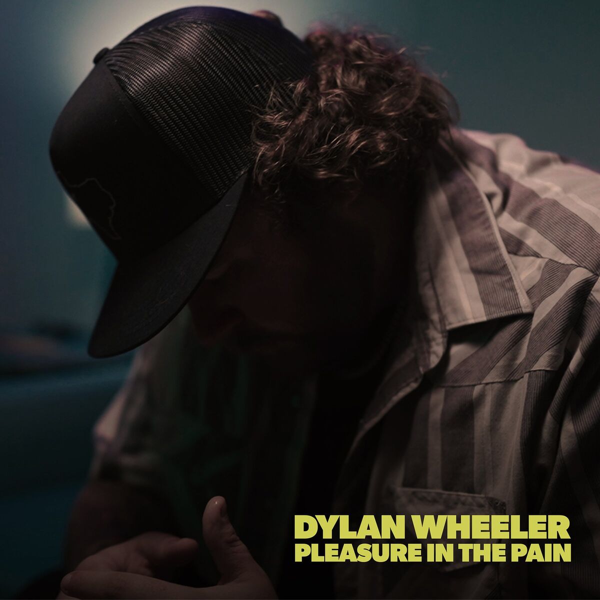 Album cover of Pleasure in the Pain (Acoustic)
