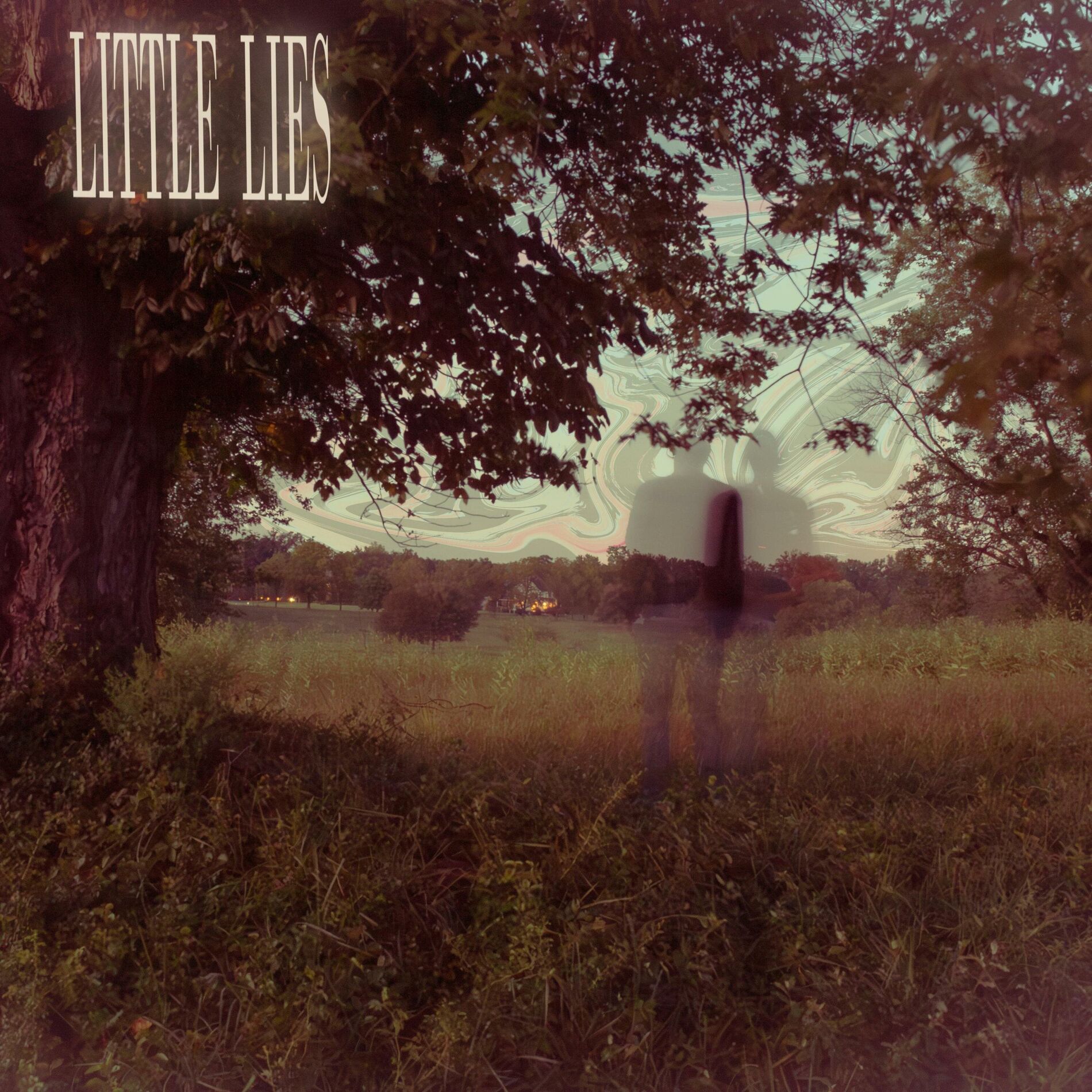 Album cover of Little Lies (feat. noam)