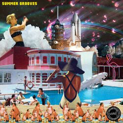Cover of Summer Grooves 2016