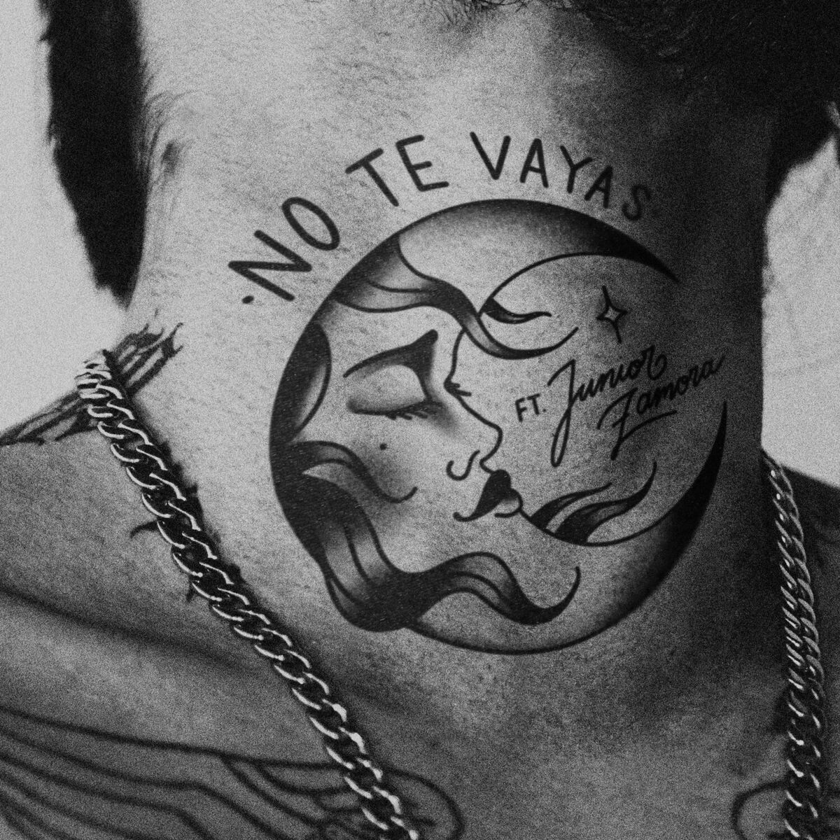 Album cover of No Te Vayas