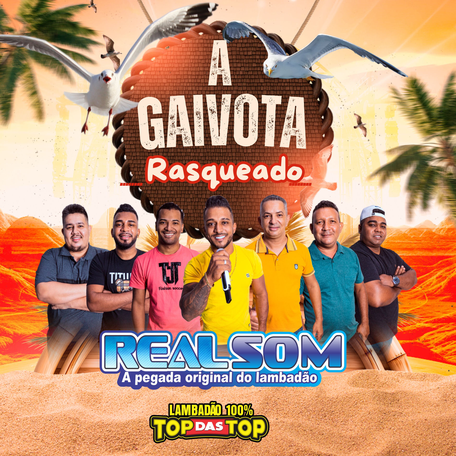 Album cover of A Gaivota