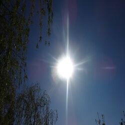 Cover of Lets Go into the Sunshine