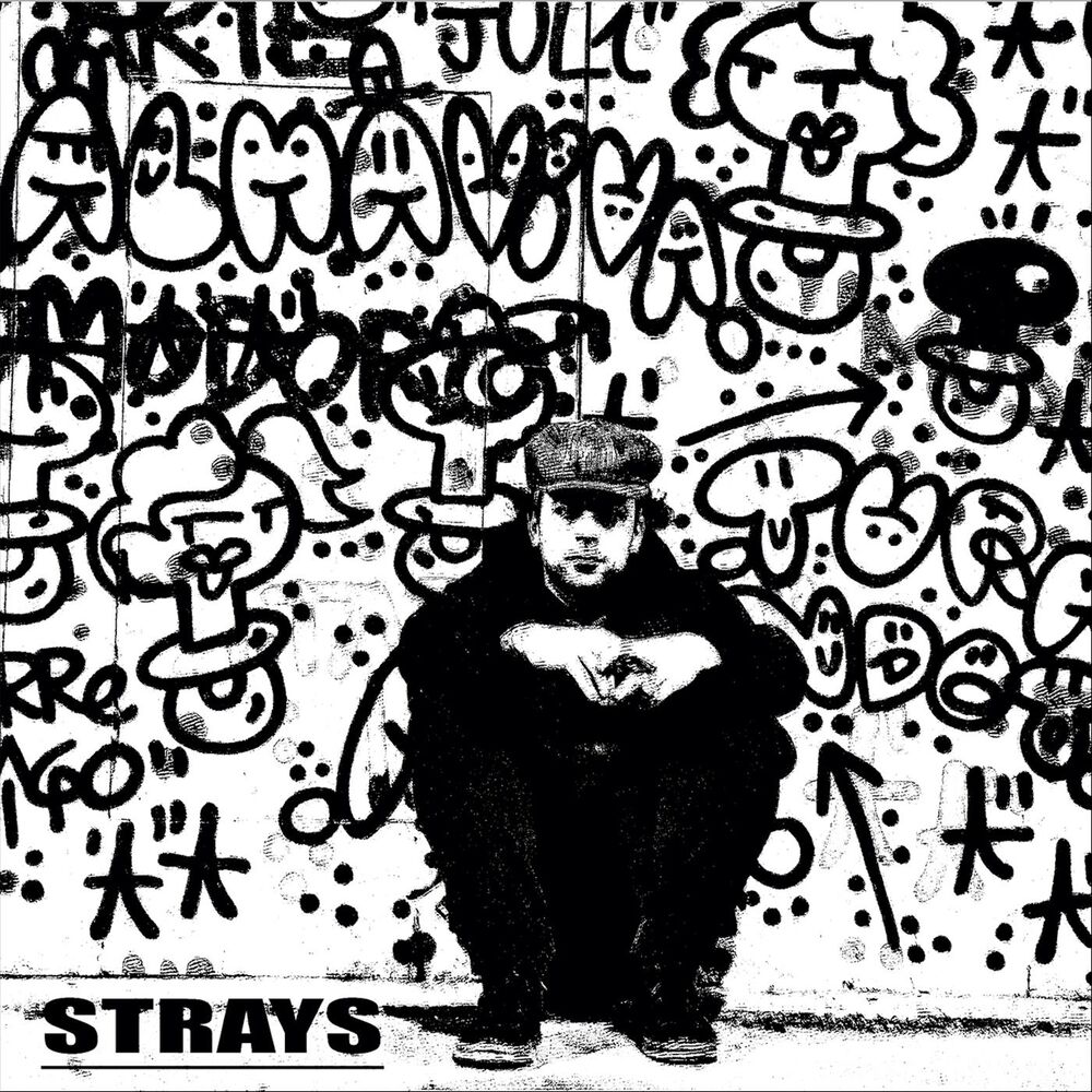 Picture of Strays