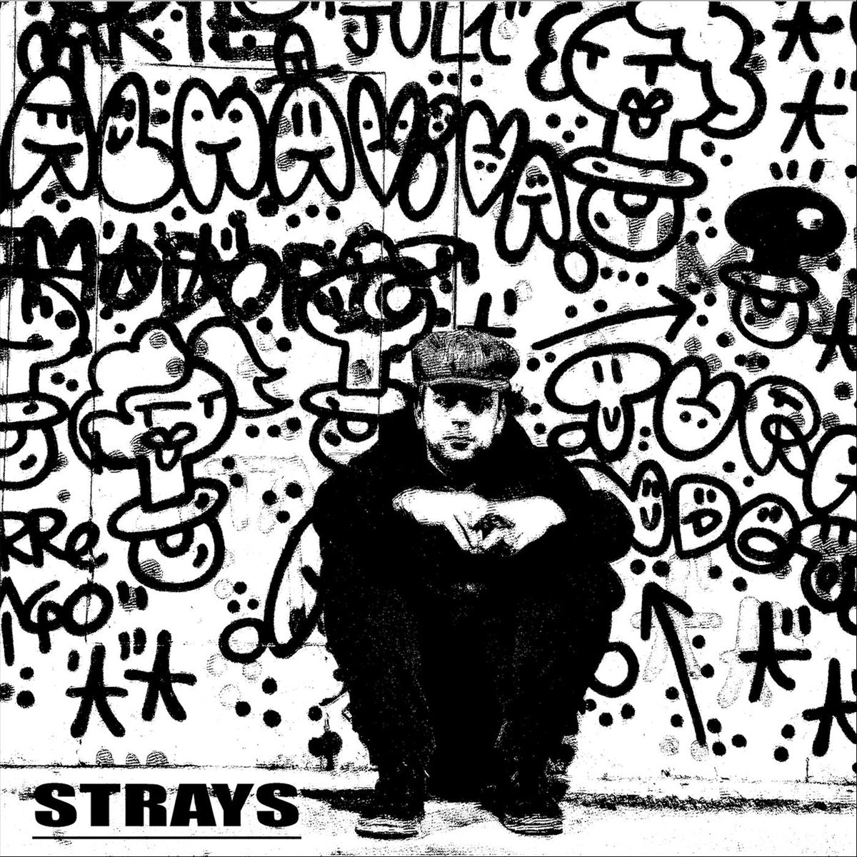Album cover of Strays