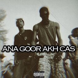 Cover of Ana Goor Akh Cas