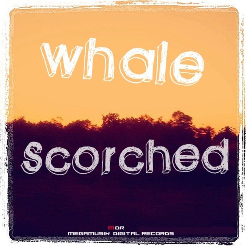 Picture of Scorched