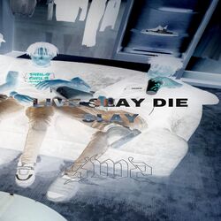 Cover of Live Slay Die Slay