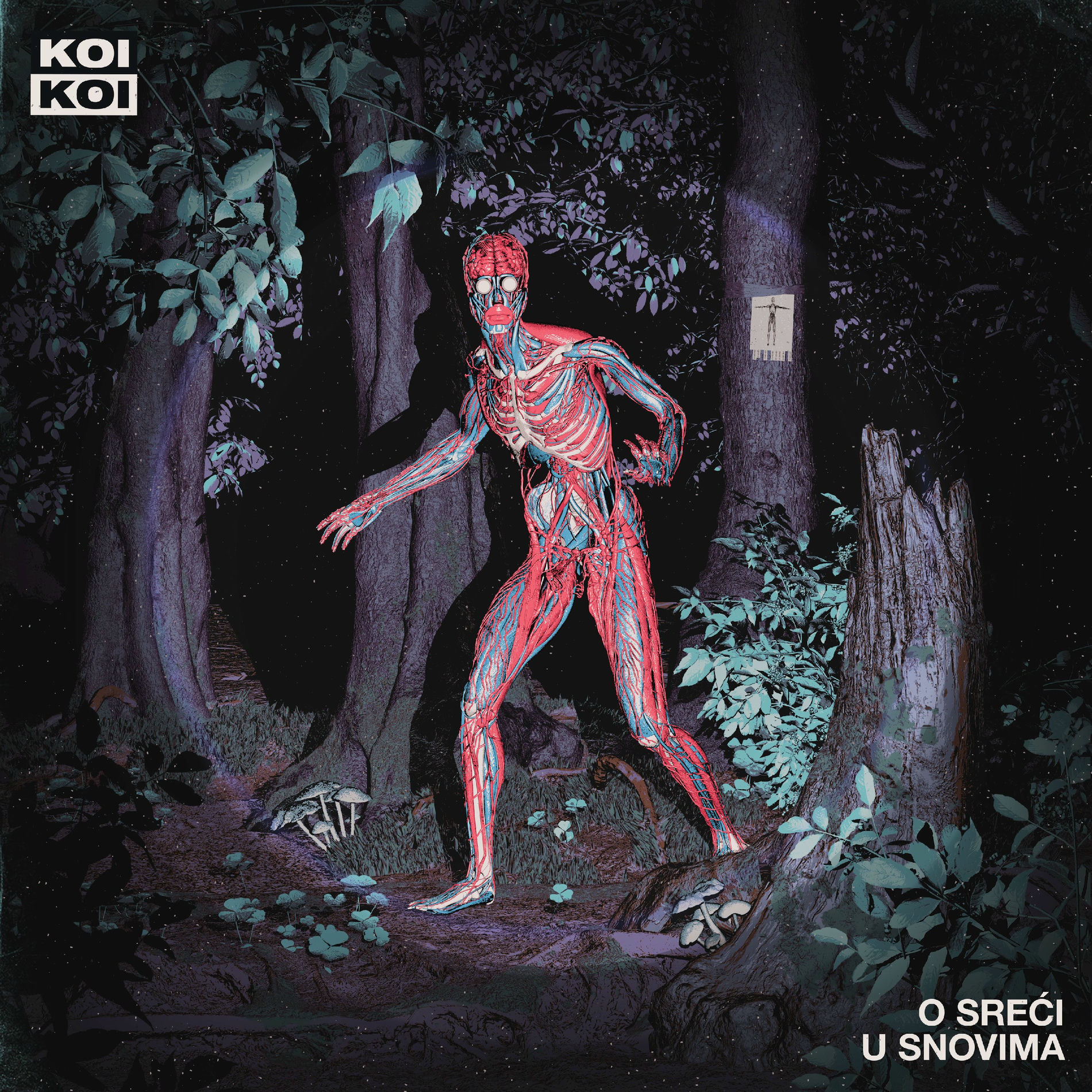 Album cover of O Sreći U Snovima