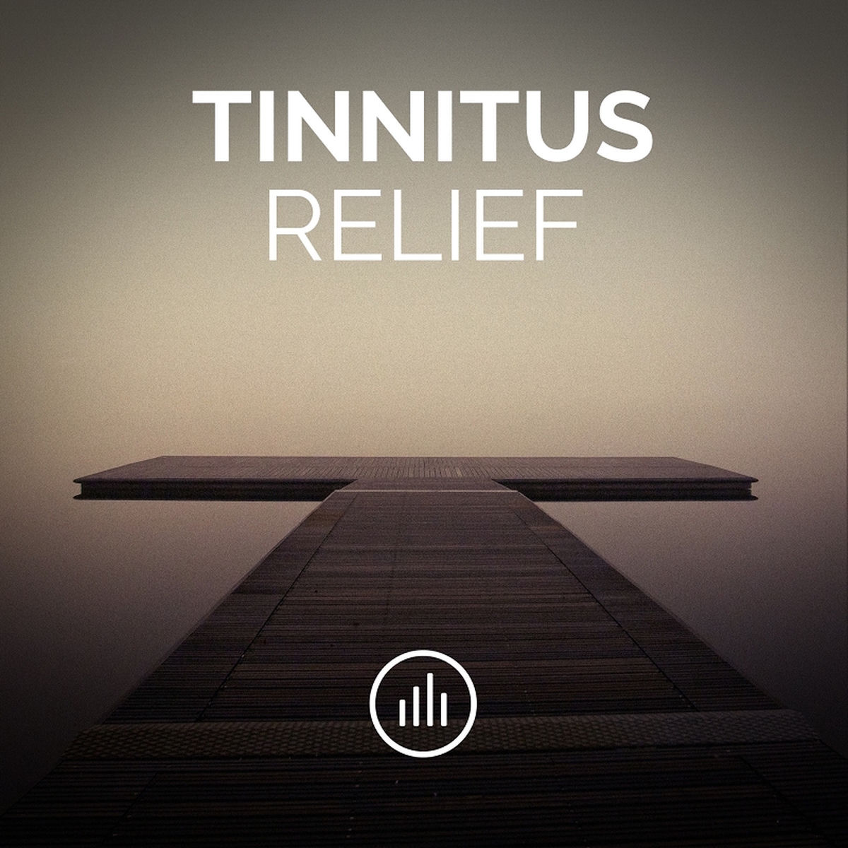 Album cover of Neuromodulation Noise (Synthetic Tinnitus Hacker)