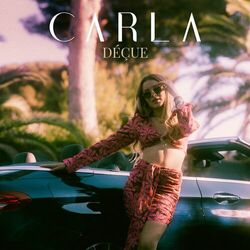 Cover of Déçue