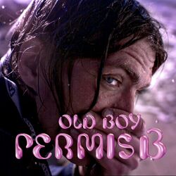 Cover of Permis B
