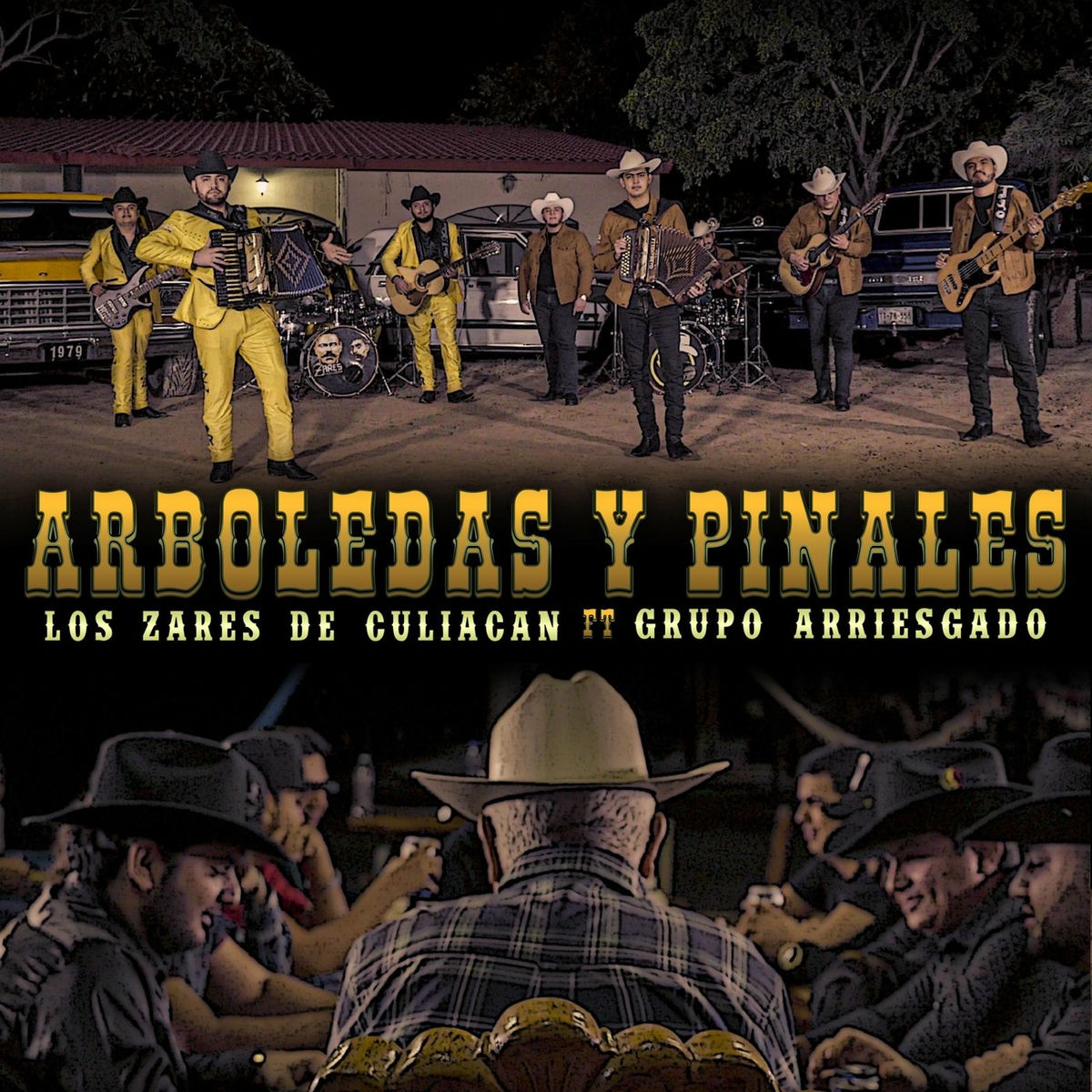 Album cover of Arboledas y Pinales