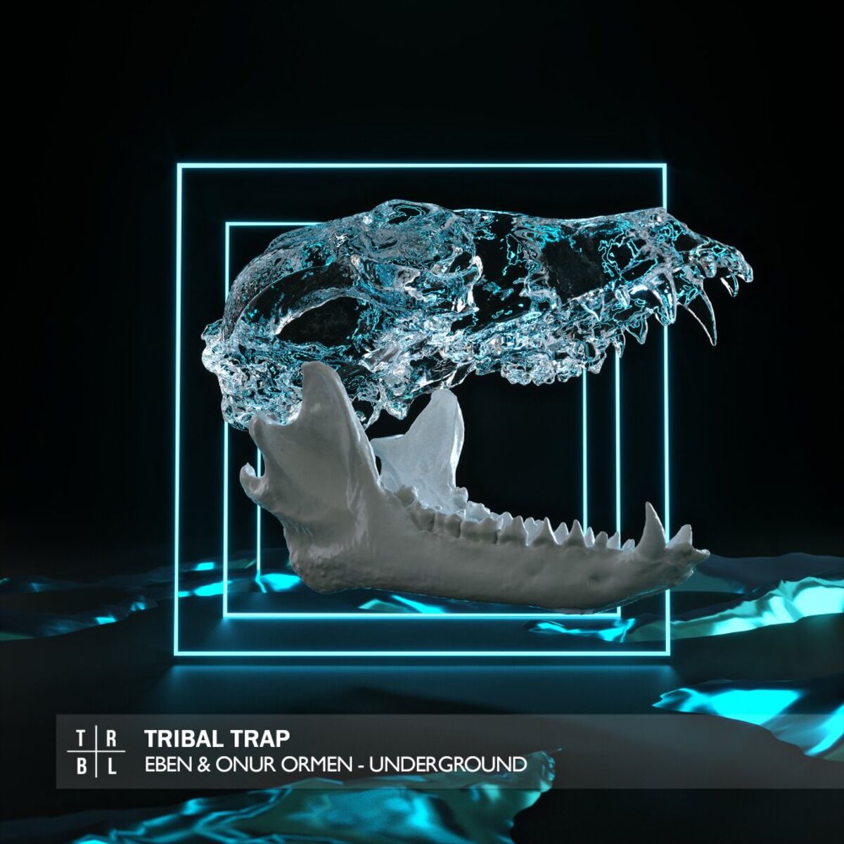 Album cover of Underground