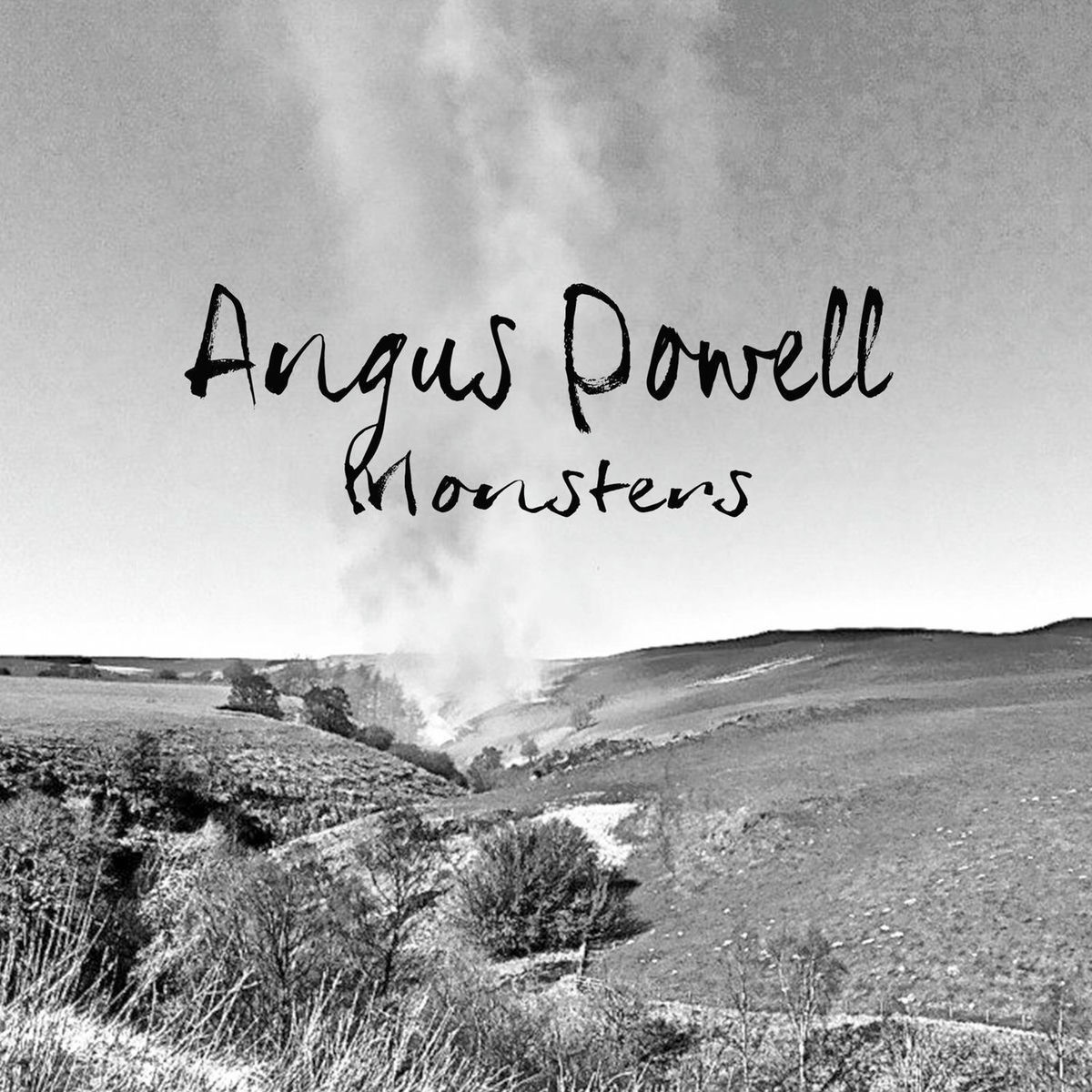 Album cover of Monsters