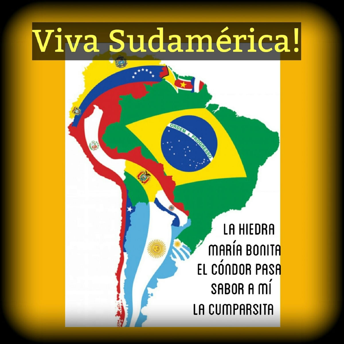 Album cover of Viva Sudamérica!
