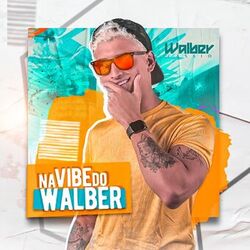 Cover of Na Vibe do Walber